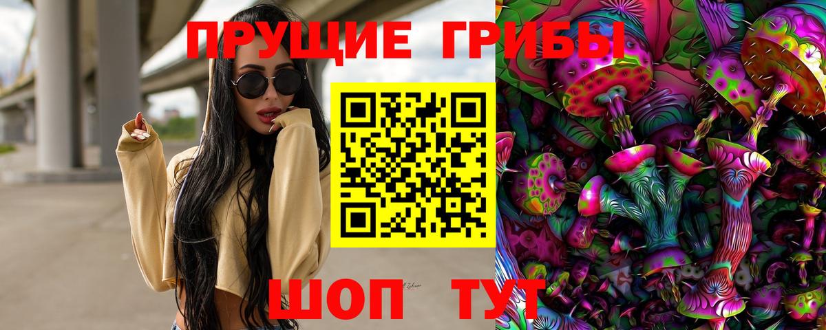 Кропоткин  Псилоцибиновые грибы Psilocybine cubensis  Вход с VPN 