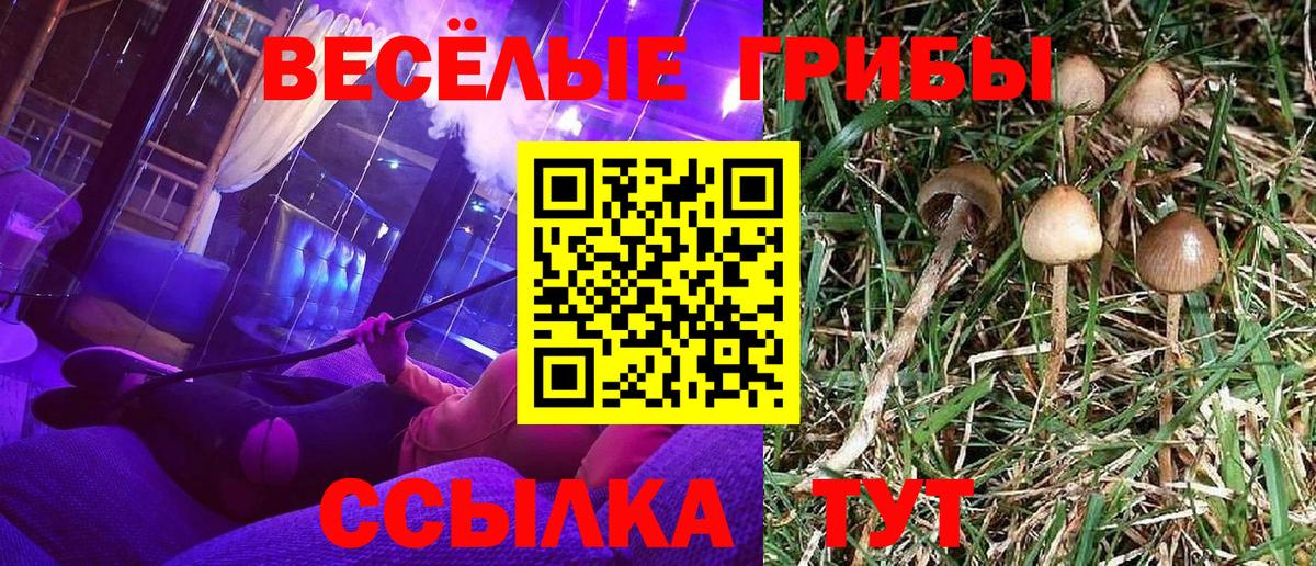 Псилоцибиновые грибы Magic Shrooms Кропоткин